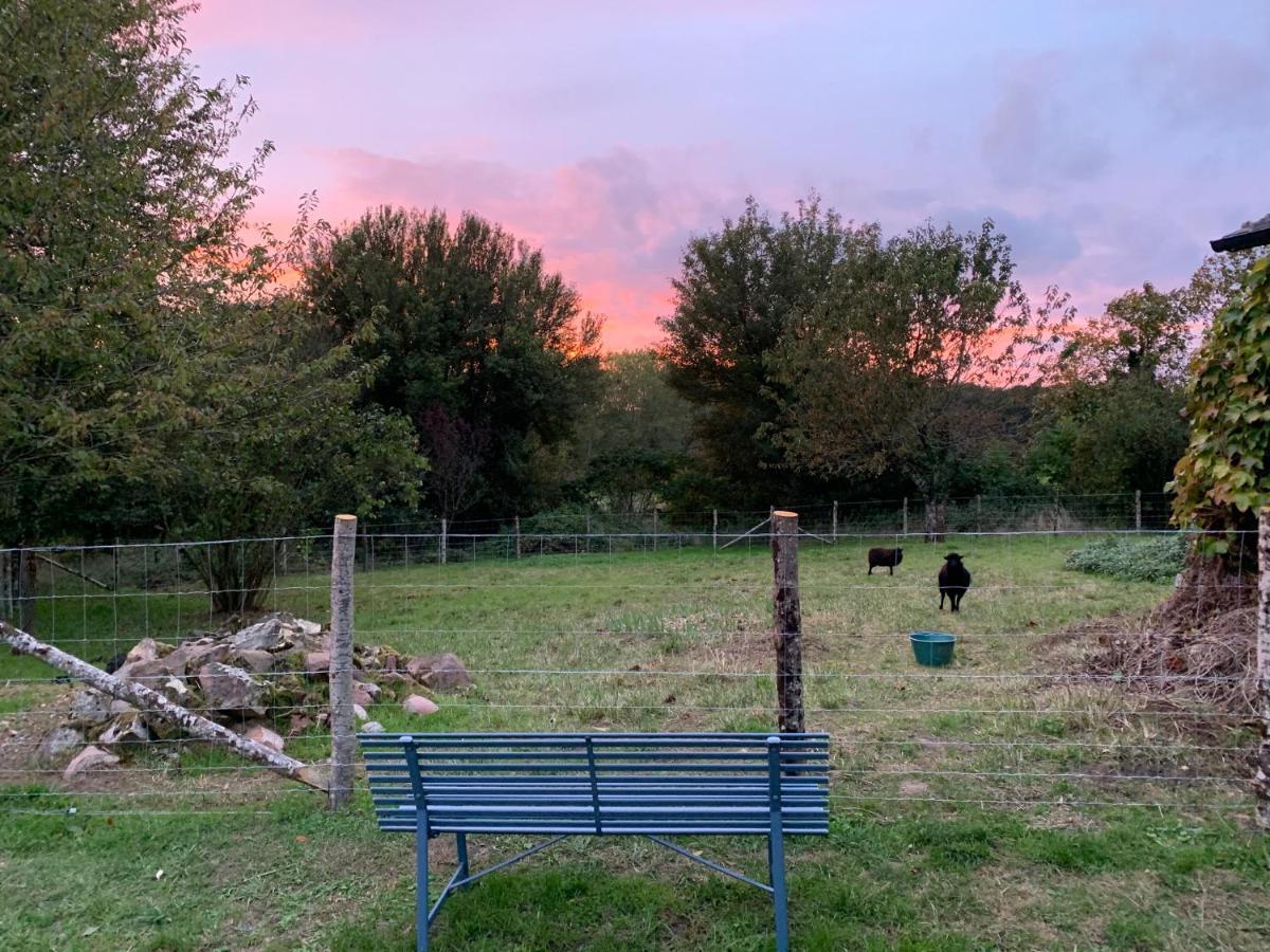 Le Logis De La Chouette Otel Baugé Dış mekan fotoğraf